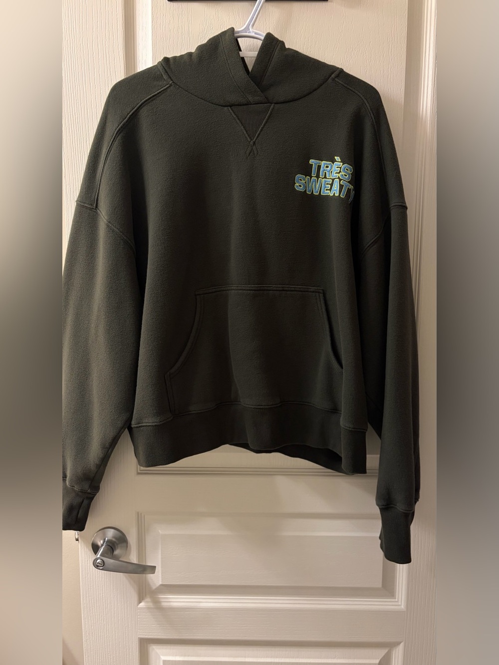 OFFLINE By Aerie Cloud Fleece Classic Length Hoodie - Olive Petal / Green, XL